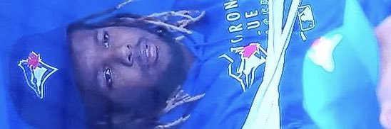 / banner