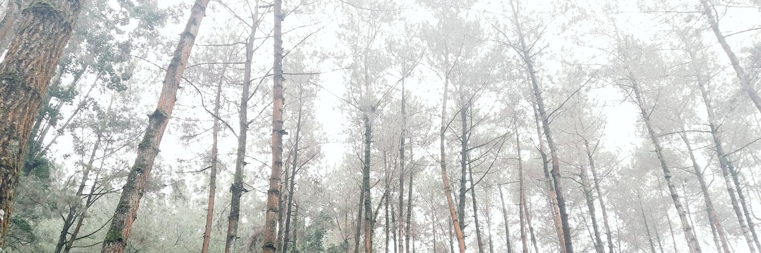 bagushoppus's profile banner image