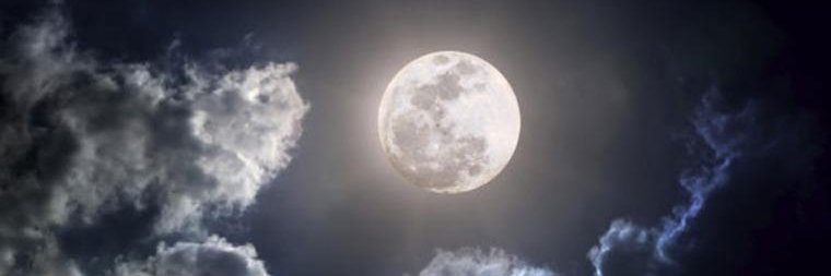 virginialunab's profile banner image
