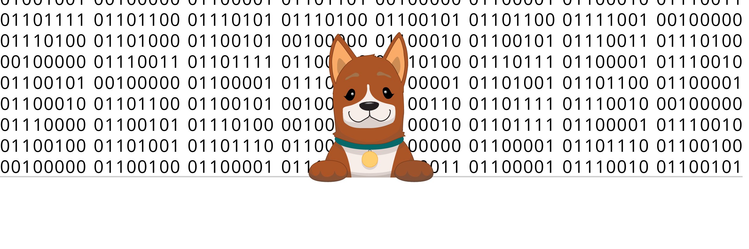 GingrKennelSoftware banner