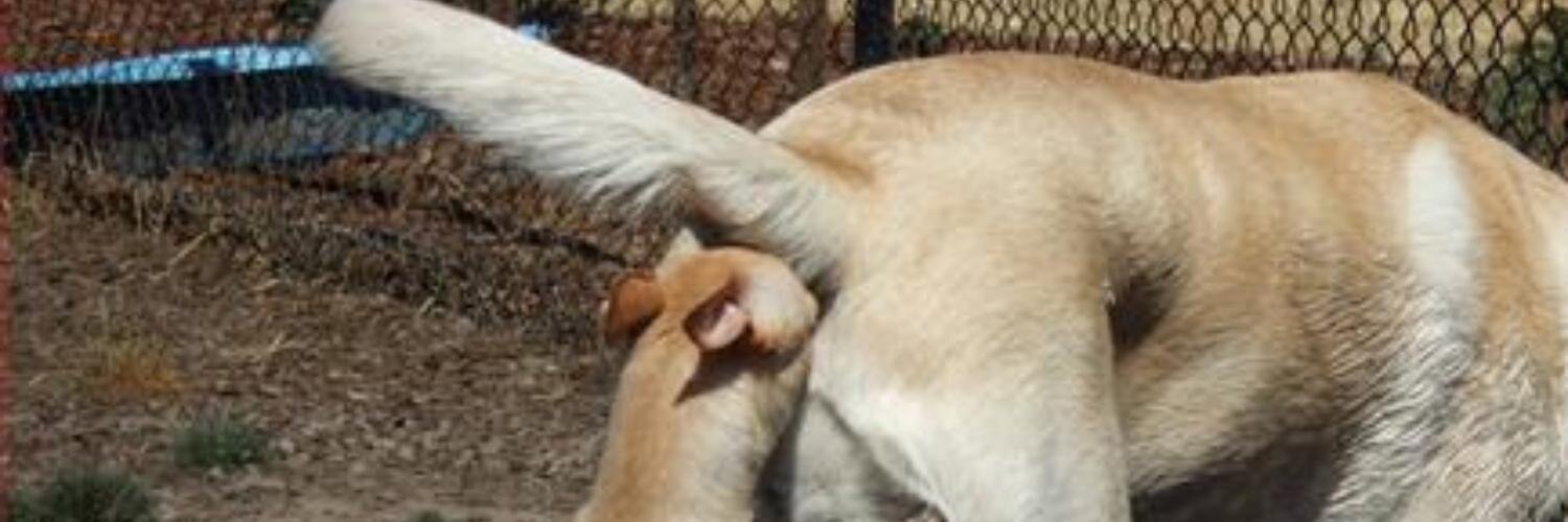 trstdknwldg's profile banner image