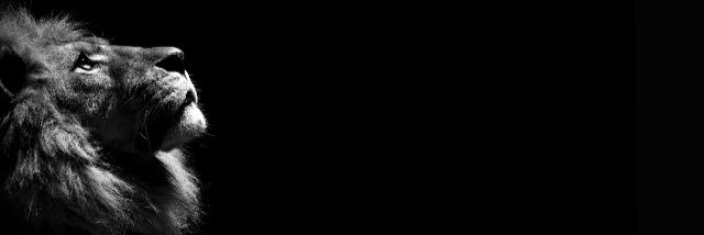 TheRealOG21's profile banner image