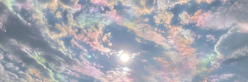 eve_dz's profile banner image