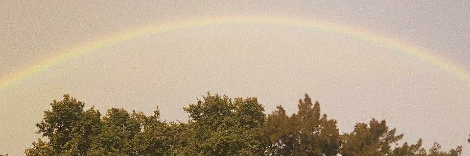 ffranromano's profile banner image