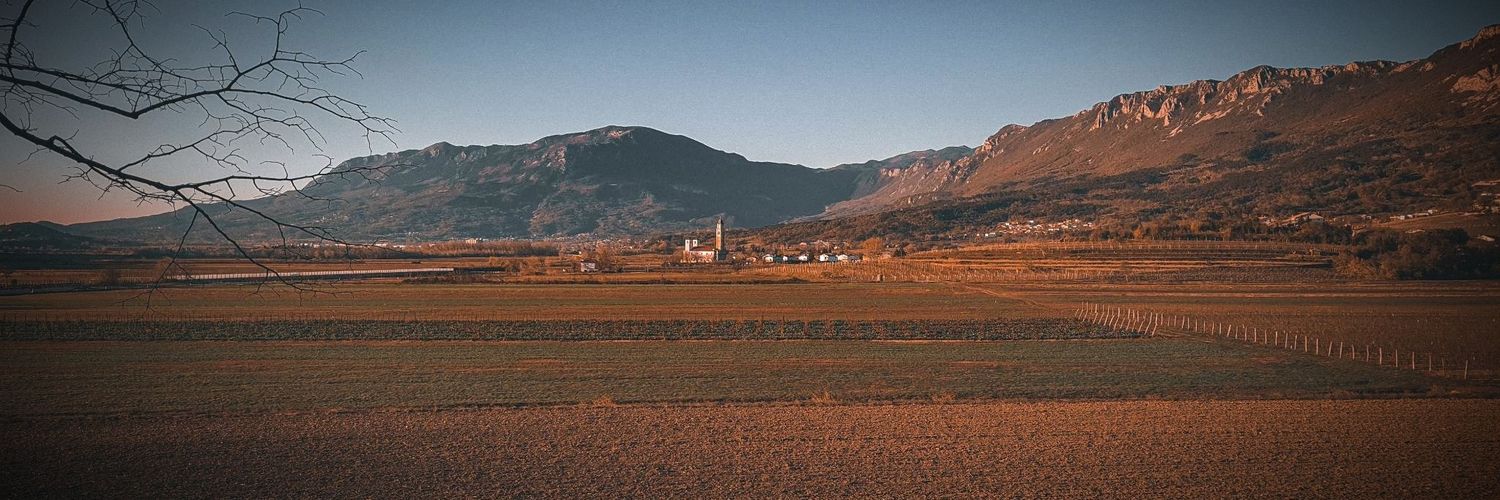 B. Ličen 🇸🇮🇪🇺 banner