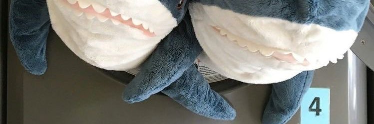 bbysharkx's profile banner image