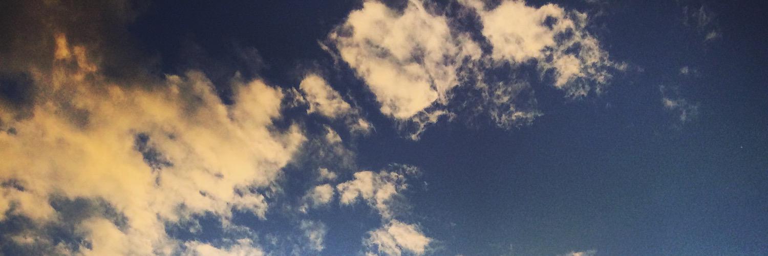 nu_koko_nu's profile banner image