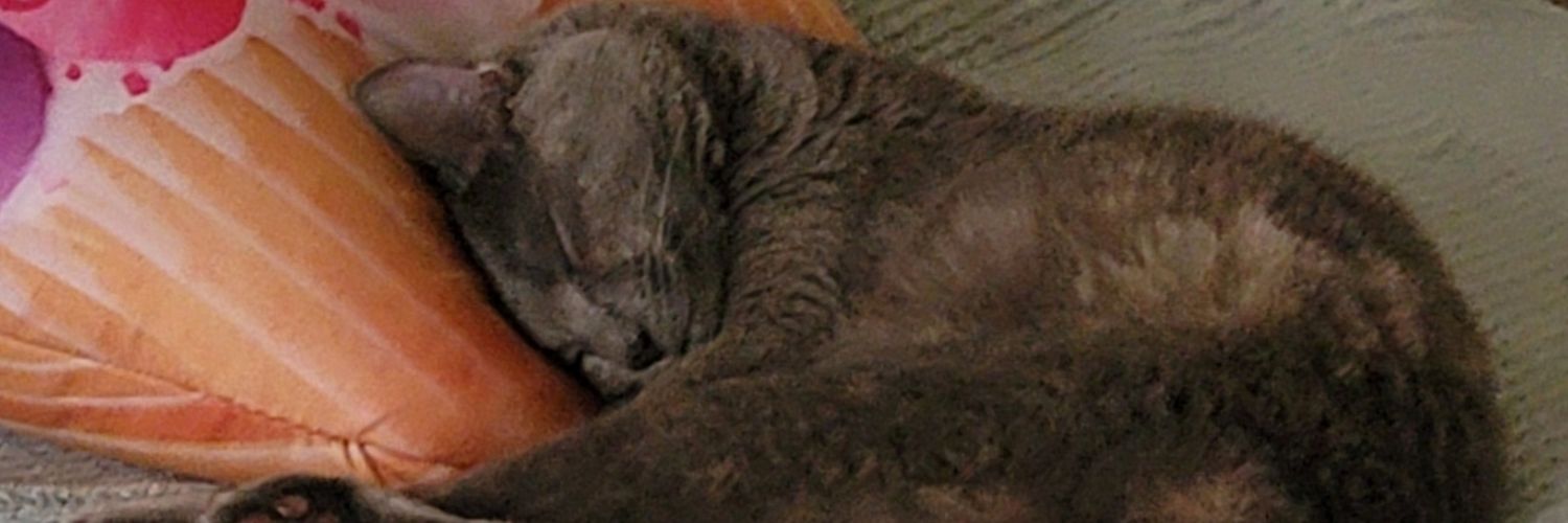 BlueStar4851's profile banner image