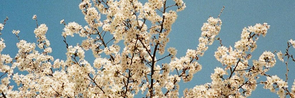 l93l77's profile banner image