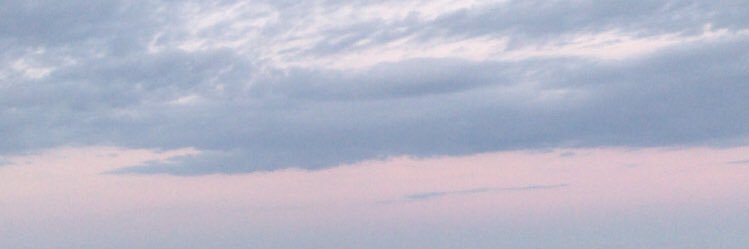 allyfeinn's profile banner image