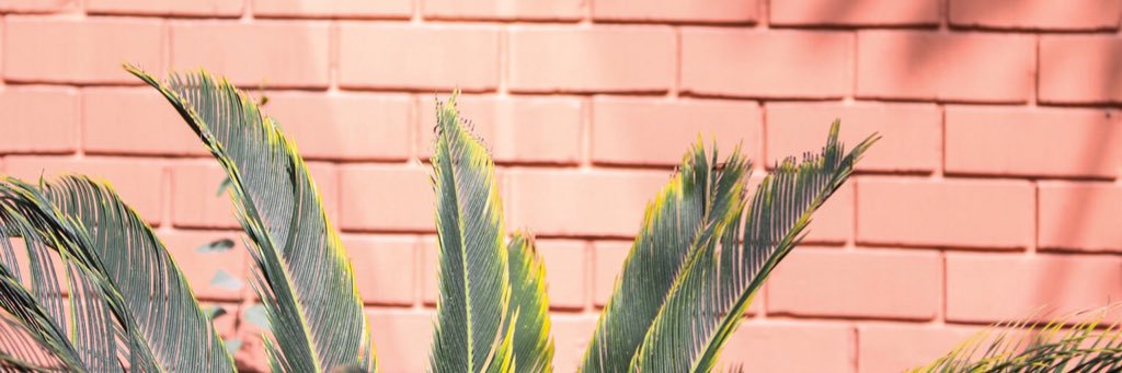 sam_my_antha_'s profile banner image