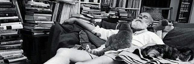 belén't banner