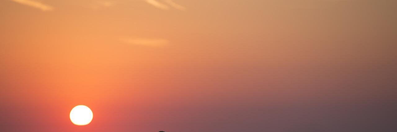 zordon_r's profile banner image