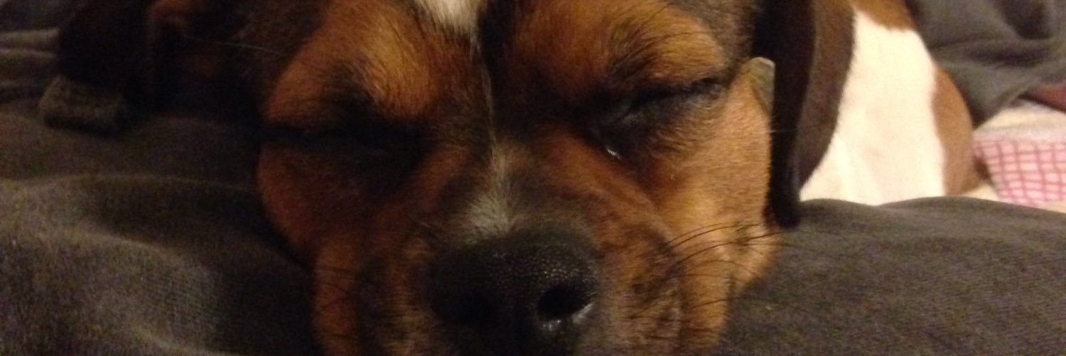 Nic Hendrickson banner