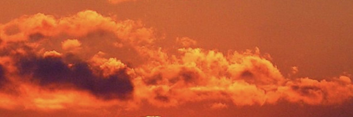 _TayNichol's profile banner image