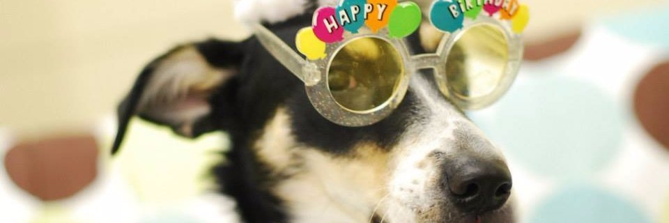 Nick McLawhorn banner