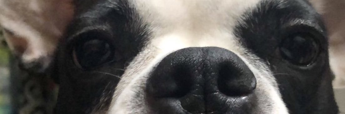 SezerArslann's profile banner image