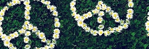 thaniaz_'s profile banner image