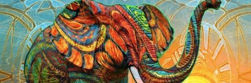 MariaBGarvey's profile banner image