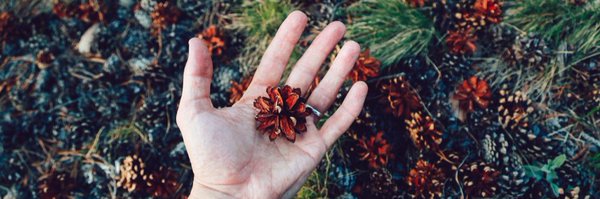 fotokolbin Profile Banner