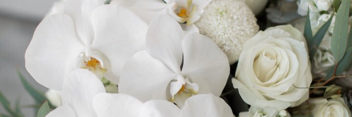 edenFdesign's profile banner image