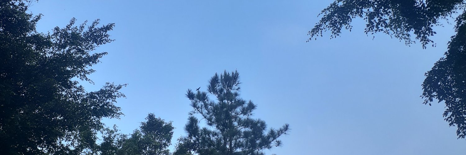 windiart's profile banner image
