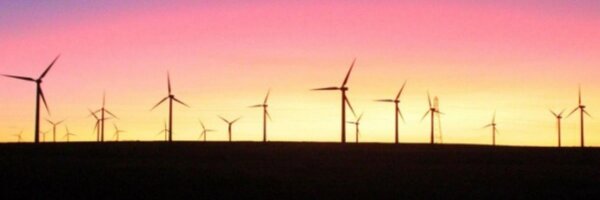 PeterRoche3 Profile Banner