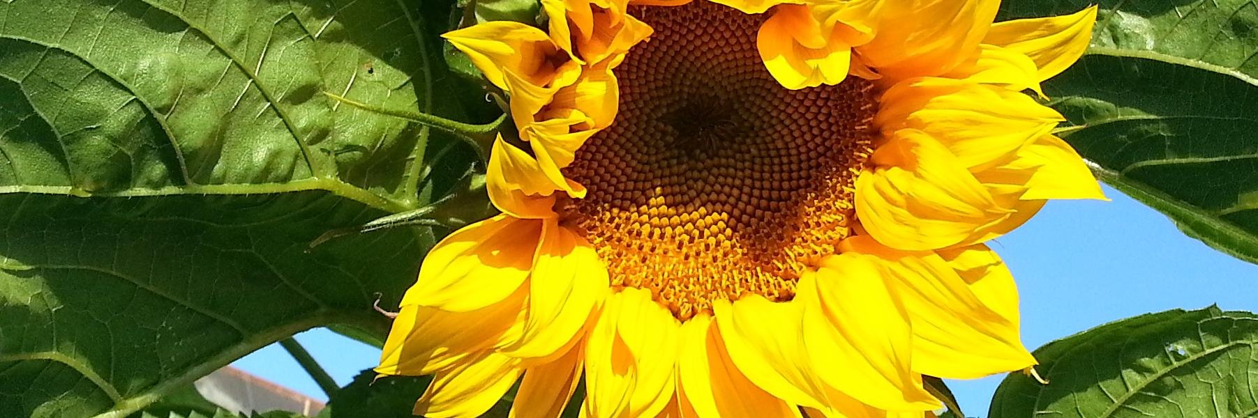 cathal_mcd's profile banner image