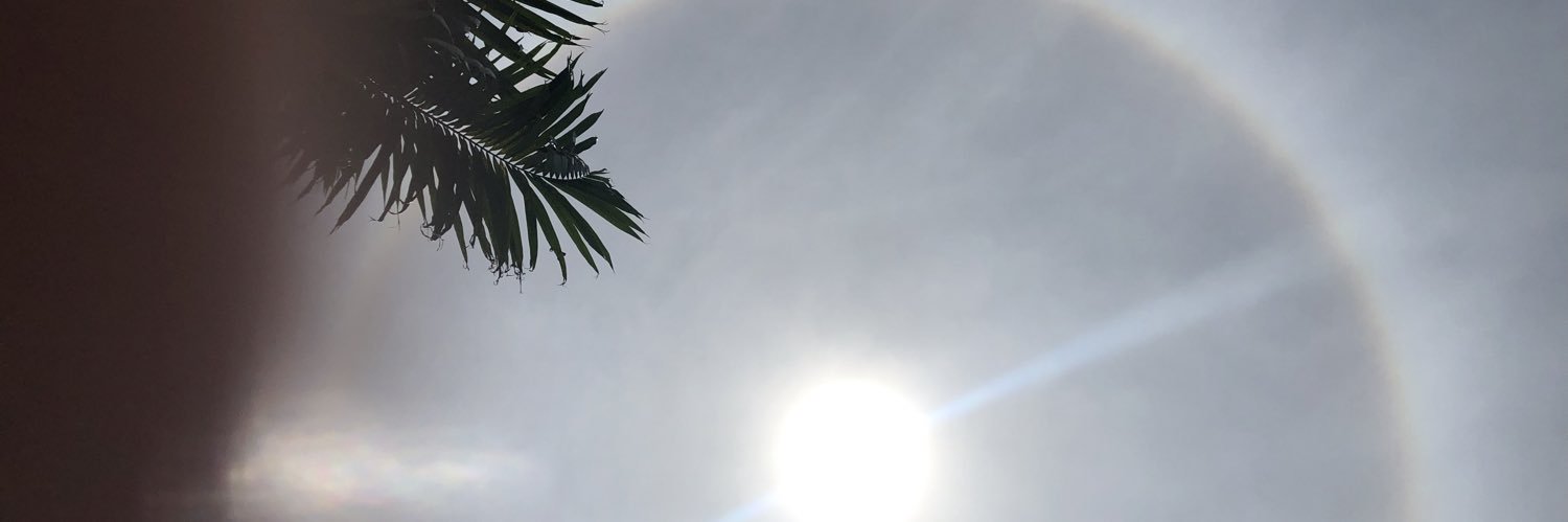 kellylsg's profile banner image