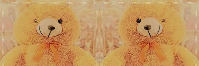 she_widyah's profile banner image