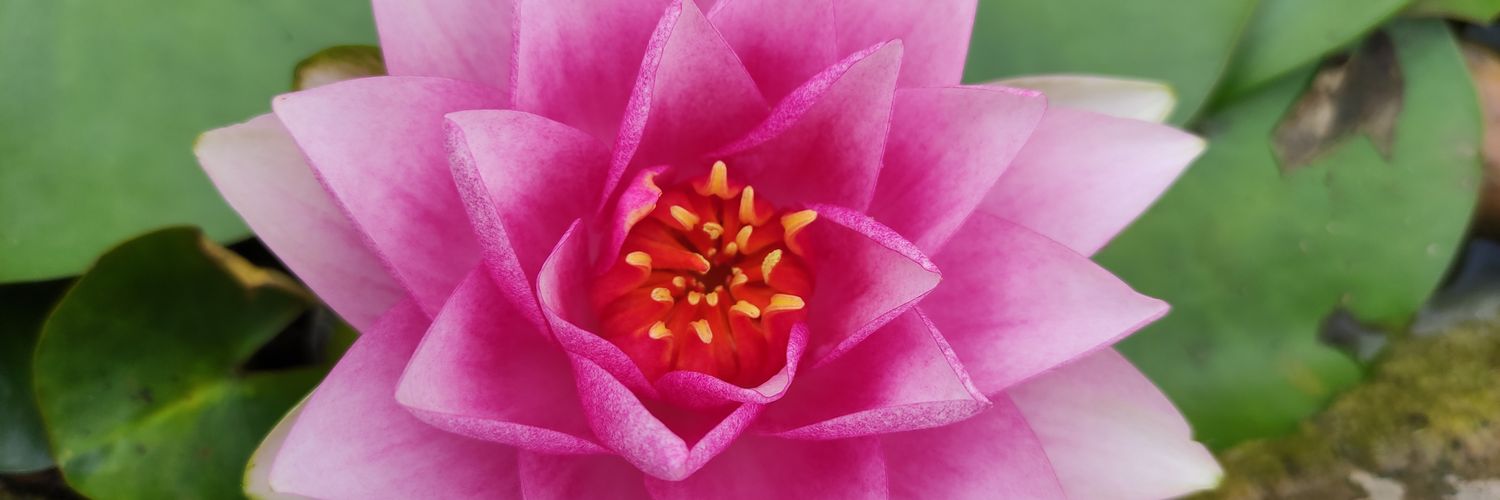 AHadlow's profile banner image
