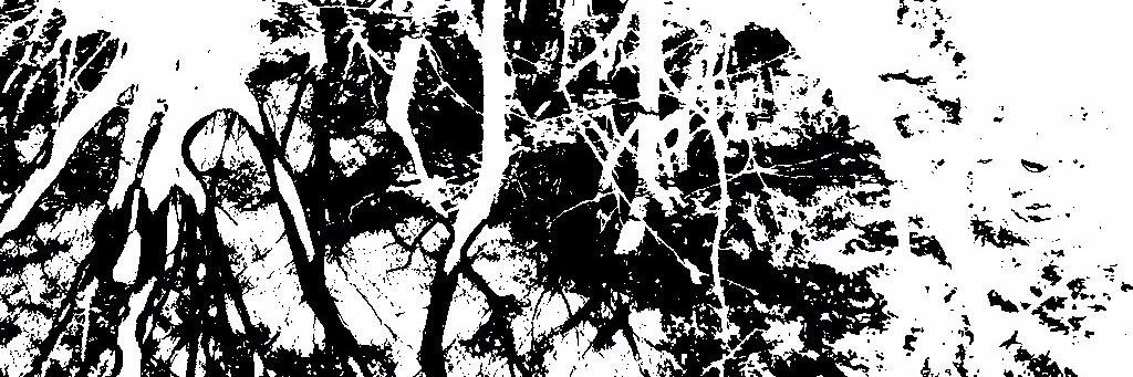 Scarlet_104's profile banner image