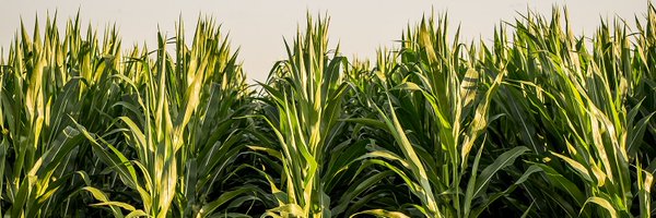 MichFarmBureau Profile Banner