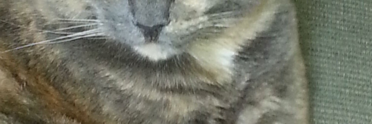 eugevale1's profile banner image