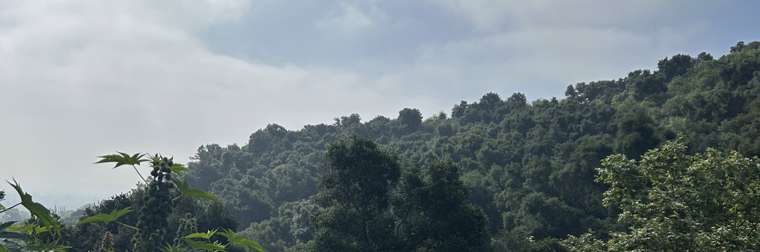 mejjiaaa's profile banner image