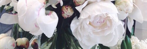 RIXTT_'s profile banner image