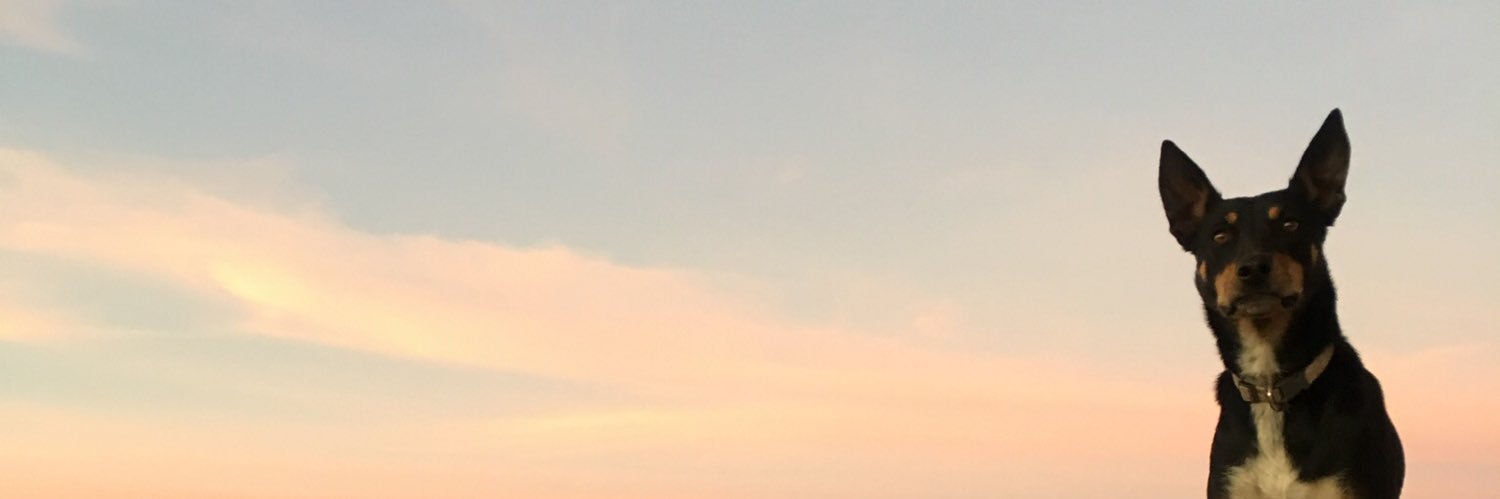 Tony Reeckman banner