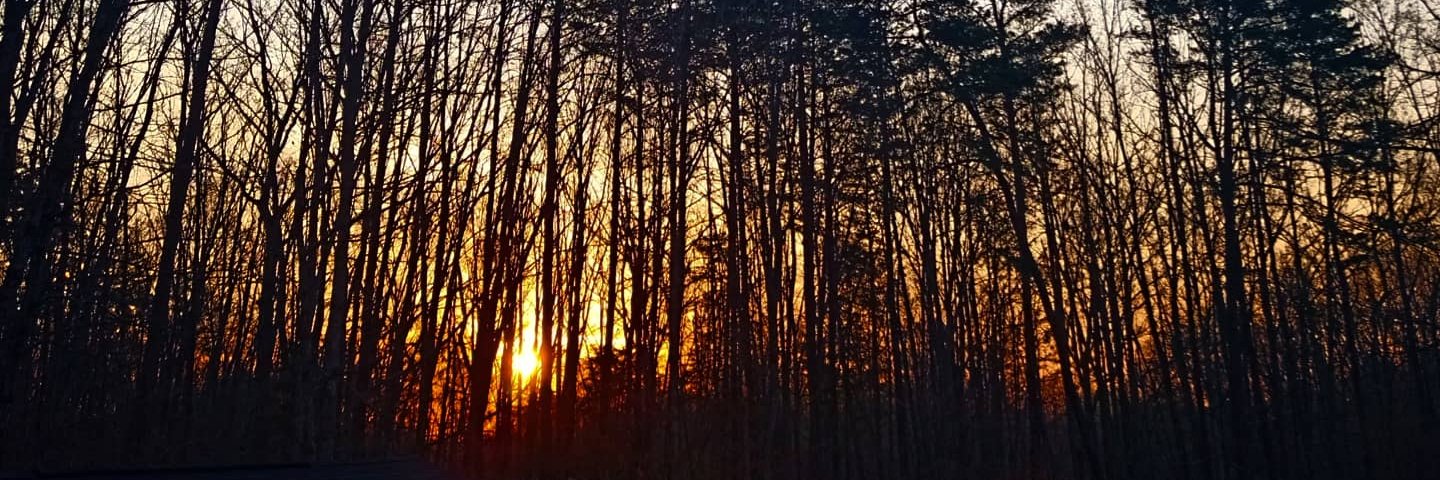 jaidling's profile banner image