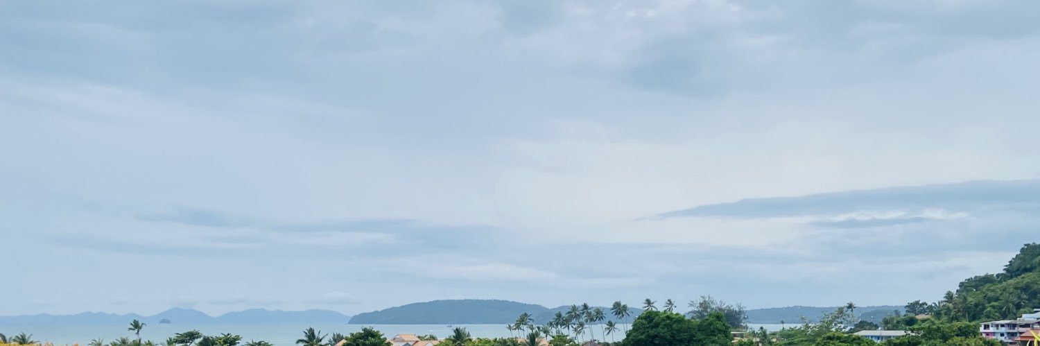 Katae_1402's profile banner image