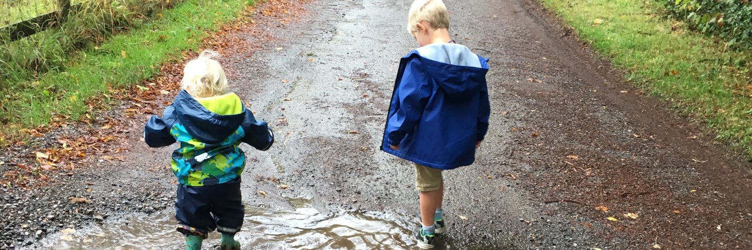 Shelly Provan banner