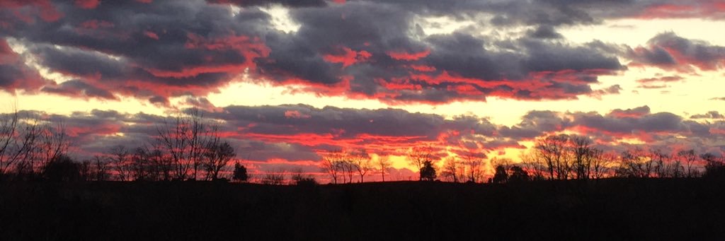 trebrad11's profile banner image