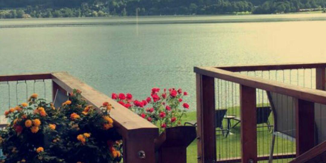 تـ ⚖️💜 banner