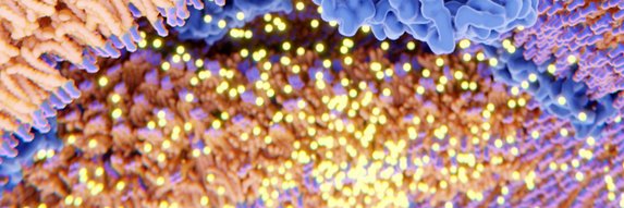 HarrietEdmund's profile banner image