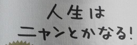 yohei224's profile banner image