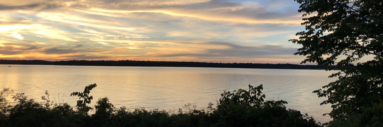 CarpMN's profile banner image