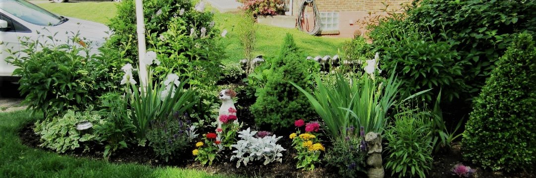 Mrs. M. Molinaro banner