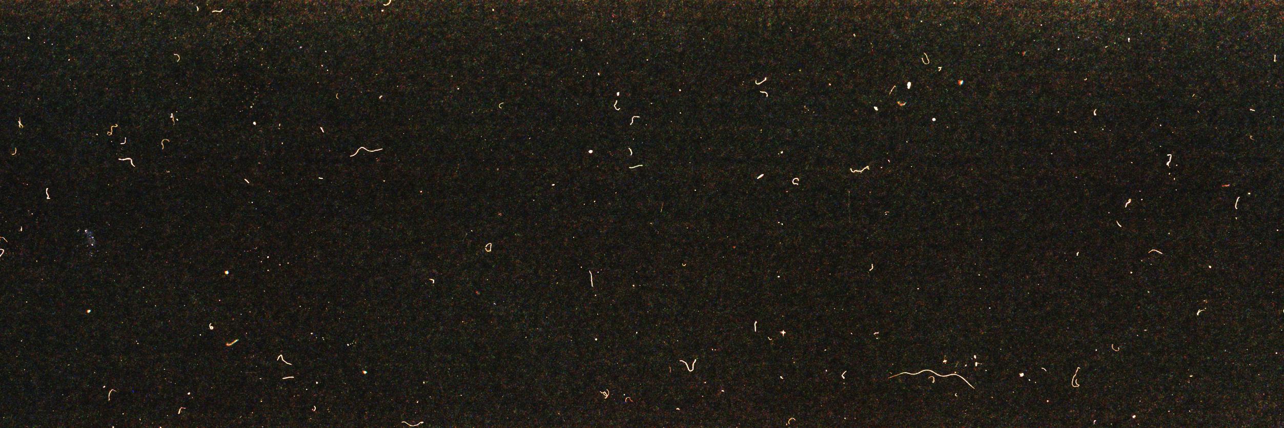 profile deleted banner