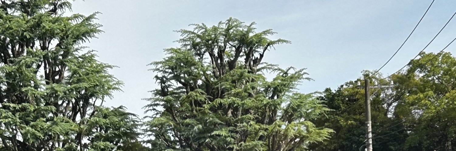 Samaracontrol's profile banner image