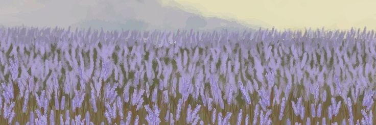 tifanyje's profile banner image