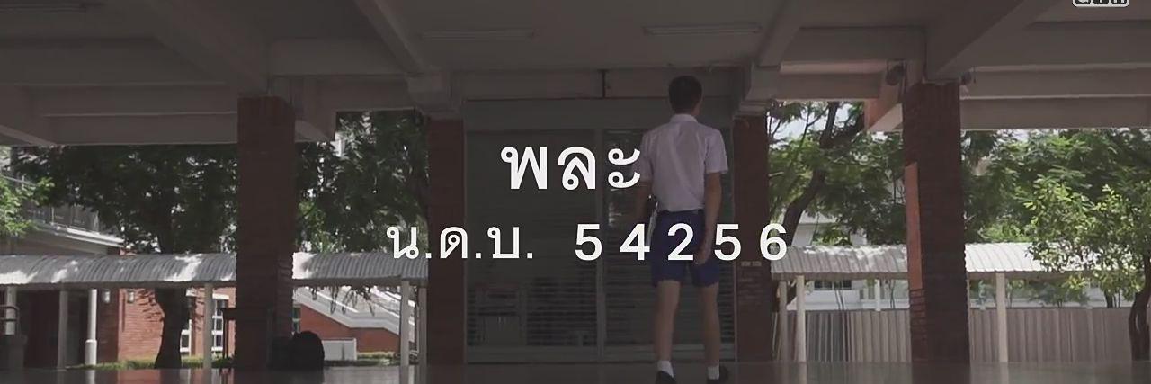 Pala_Hormones's profile banner image